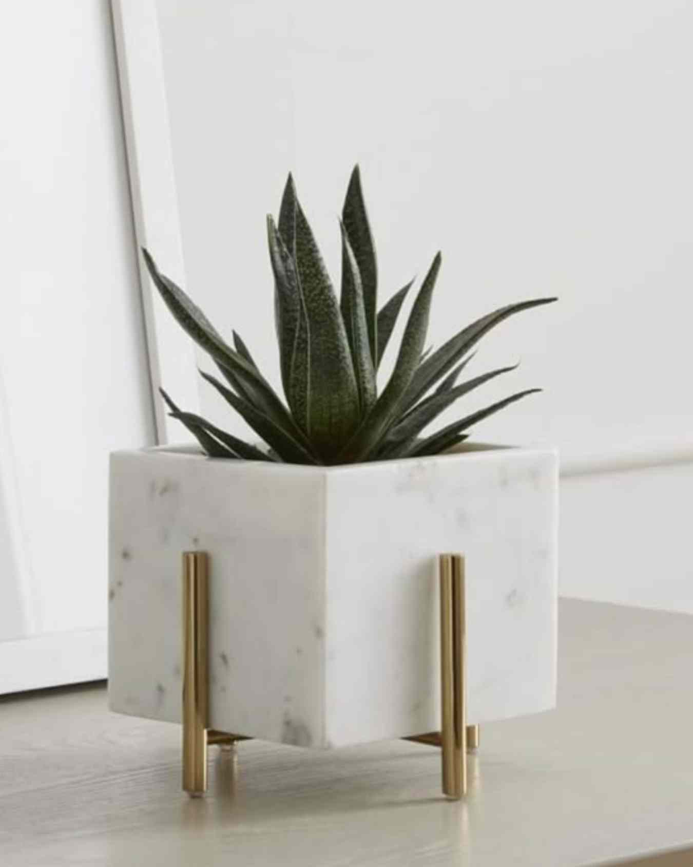 Marble Square Planter with Golden Stand
