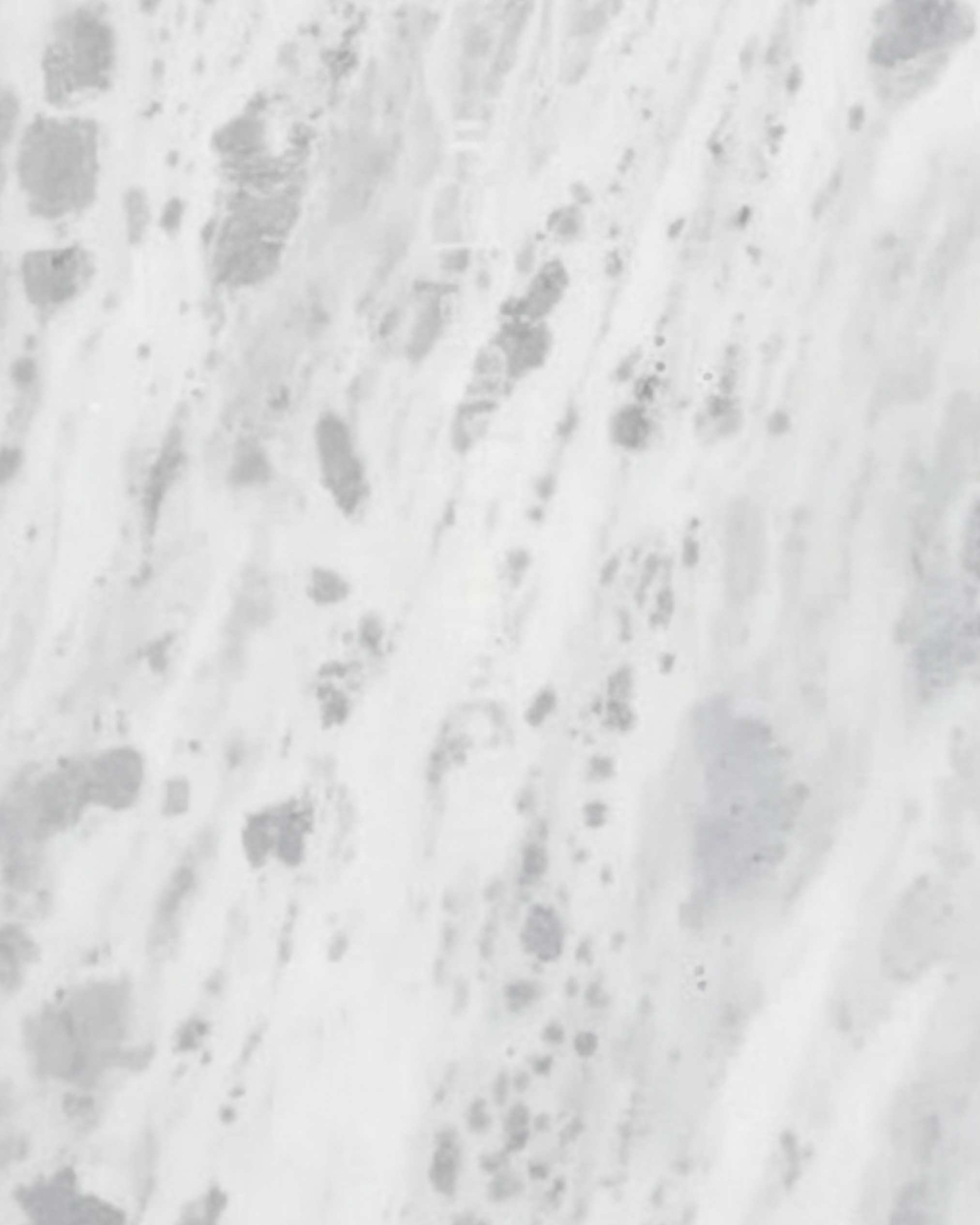 Vanni spotted White Marble